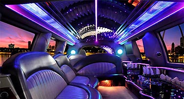 Limo Party Bus / Up to 35 Passengers