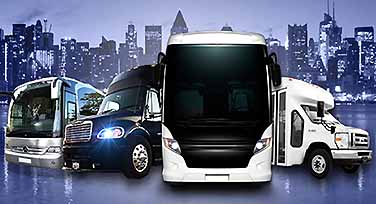 Shuttle & Charter Buses